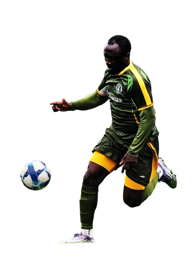 Main cover highlight